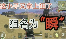 散兵技能爆料图片视频,视觉盛宴与战斗力的完美融合