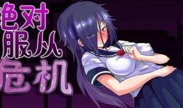 绝对服从在线观看